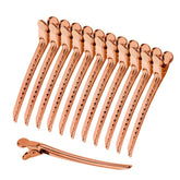 Set of 12 Bronze Metal Clips