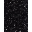 Negru Intens Coada Par Cret