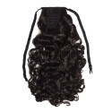 Saten Inchis Coada Par Cret