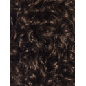 Saten Aluna Coada Par Cret