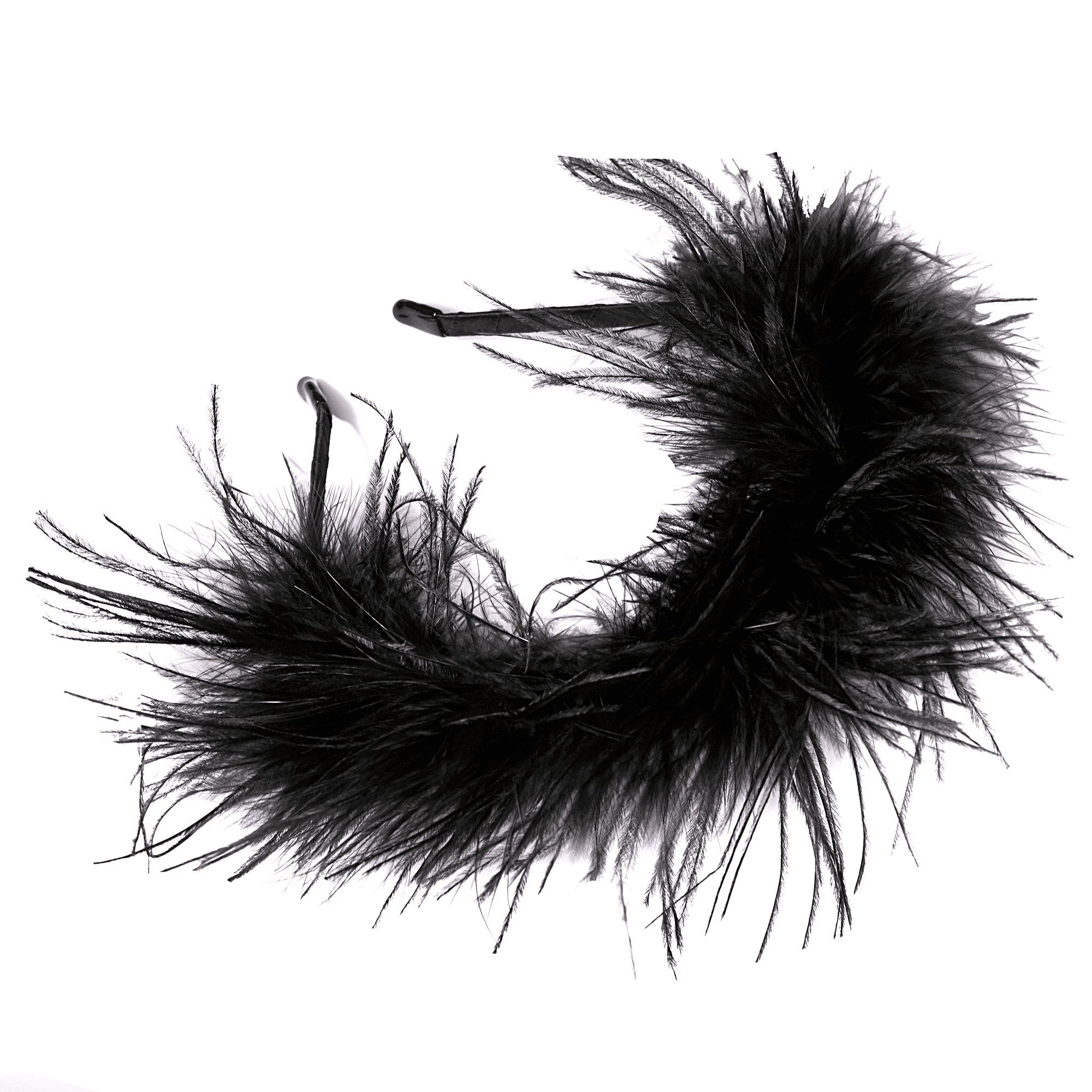 Coronita pene negru