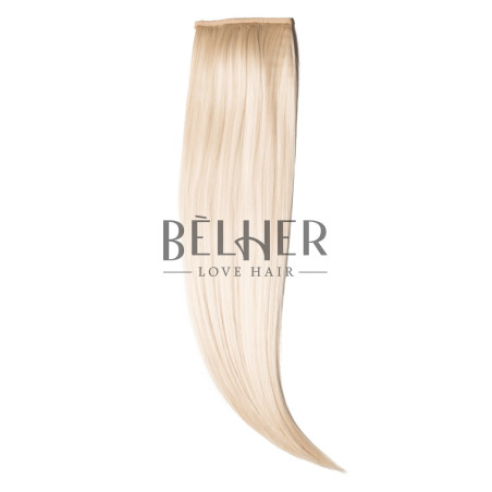 Blond Deschis Coada Par Drept