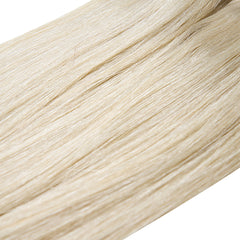 Coada Premium Blond Argintiu