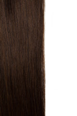 Ciocolatiu Coada Premium